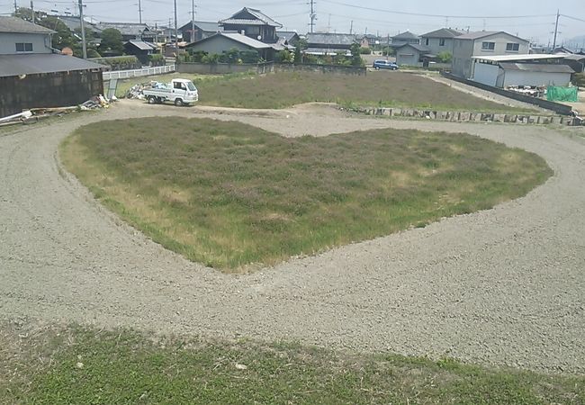 常山 田んぼアート