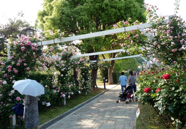 バラと一緒に様々なイベントが行われます♪