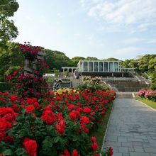 春のローズフェスティバル