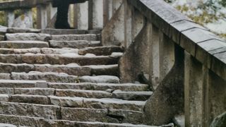 1159段の石段を登ったところにあります。