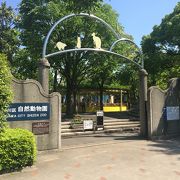 無料の動物園が都内に！