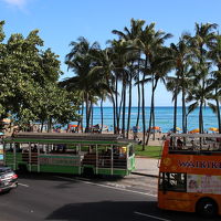 道路を渡ったところがトローリーの停留所