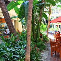 1階にはコーヒーショップ、3階にはABCストアがあり便利