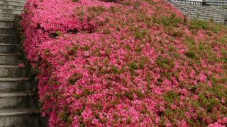 復元したものだから、重みがない