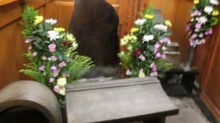 路地裏の狭い場所でみんなを見守る