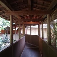 風呂まで行く通路から見える景色が風情有ります。