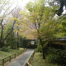 神社に境内のつもりが南蔵院だった