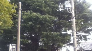 谷中のシンボル