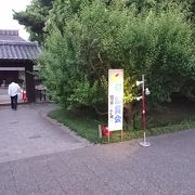 ホタルの鑑賞会に行きました