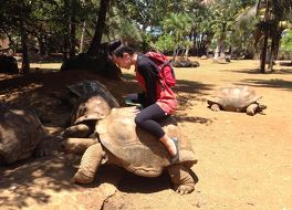 ザ ロイヤル ボタニカル ガーデン