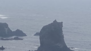 猫に見えるかな？