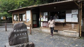 屋久島では外せないスポット！