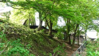 丘の上に群落する合掌村