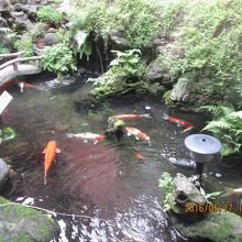 境内に池があります