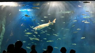 大人も子供も楽しい場所です