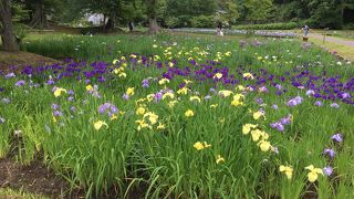 地域の誇り　佐倉城址公園