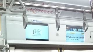 みなとみらいや中華街観光に