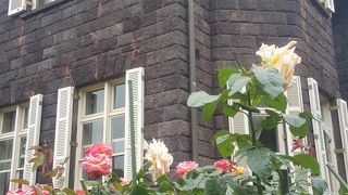 バラがきれいな季節になりました