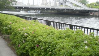 白いアーチの橋