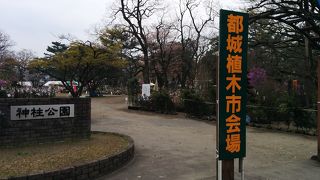 ～★☆公園内で植木市が開催されていました。★～