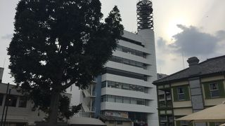 日本でここだけに生えてます。