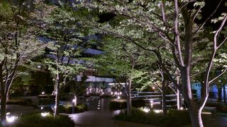 緑と水、ベンチがあって、素敵な雰囲気！