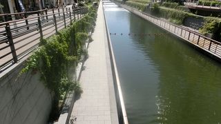 スカイツリーを直下から見上げる