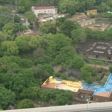通天閣から望む天王寺公園
