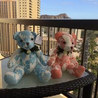 ダイヤモンドヘッドとビーチとどちらも見えるお部屋でした