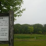 まさに運動公園