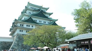 名古屋と言えば、やっぱり金のしゃちほこー！！