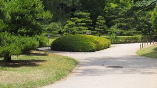 歩いて回る楽しみ