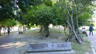 木が茂ってほっとする