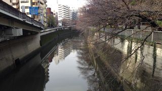 神田川の周辺綺麗なのでクルージングも良さそうですね