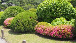 つつじの赤が目立つ