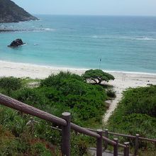 浜に降りていく階段があります。浜辺伝いに隣の島にも行けます。