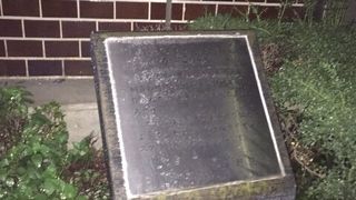 あたり一面、犬屋敷