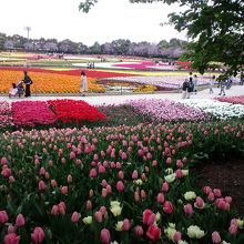 ハイジのデザイン