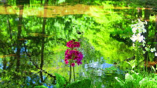 水辺の風景が美しいです。