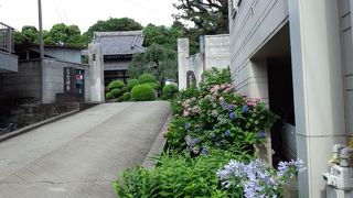 庭がきれい。いろんな碑があります。