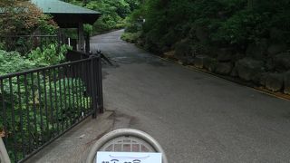 人気があるので、お客さんでいっぱい