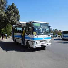 サマルカンドのバス