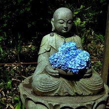 明月院ブルーの紫陽花を抱くお地蔵さま