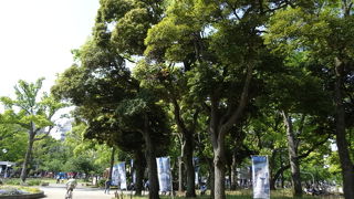 花がきれいな時期も