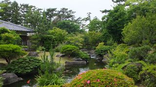 日本庭園がメインの公園