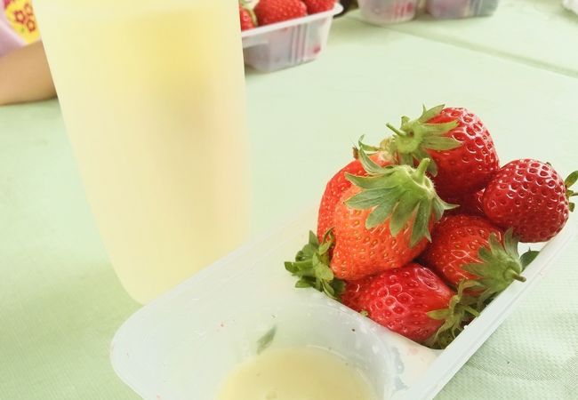 こもろ布引いちご園 クチコミ アクセス 営業時間 小諸 御代田 フォートラベル こもろ布引いちご園 クチコミ アクセス 営業時間 小諸 御代田 フォートラベル