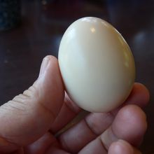 温泉ゆで卵　蒸すと少し黒ずんでくるそうです