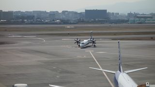 午前中がおすすめ