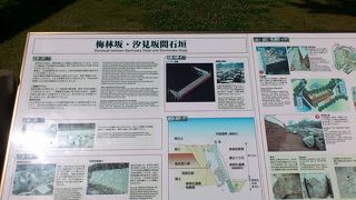 かつては数百本