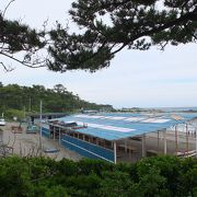 葉山御用邸に隣接してあるビーチ